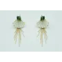 Pendientes concha triangular nacar, corales verdes