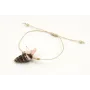 Pulsera hilo macrame dorado con caracola moteada y