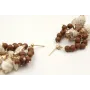 Pendientes aro con bolas de madera, corales blanco