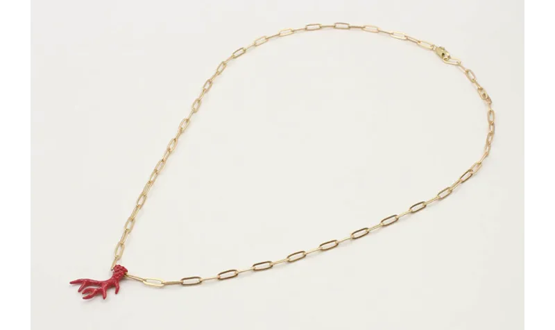 Collar cadena eslabón ovalados con colgante rama d
