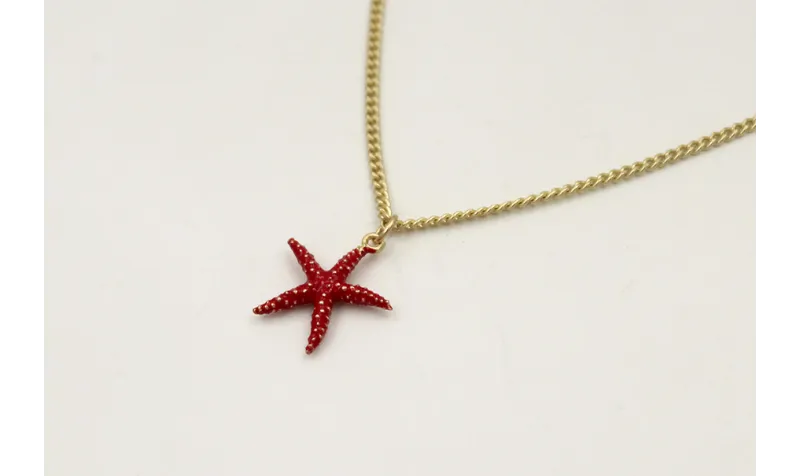 Solitario cadena plana dorada mate con colgante es