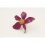 Anillo disco plano con flor esmaltada cardenal y b