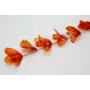 Pendientes extra largos flores de lesntejuelas ova
