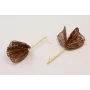 Pendientes perno pivote dorado mate con alas redon