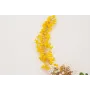 Collar hilo dorado con ramas de abalorio amarillo,