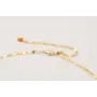 Collar cadena láminas ovaladas con colgantes dorad
