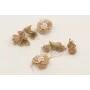 Pendientes semi ovalado con brillos, flores moldea