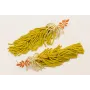 Pendientes petalos esmaltados nectarina con flecos