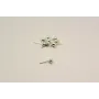 PENDIENTE DORMILON 5MM PLATA / Base Pendientes 