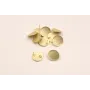 Perno disco 18.5mm oro mate / Base Pendientes 