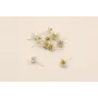 Perno flor 14mm. Oro y plara Mate / Base Pendientes 