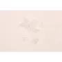 Tapón silicona transparente para pendiente / Tuercas de Latón / Zamak