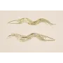 Pendiente Flecos 125*11mm Dorado / Base Pendientes 