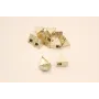 Perno cierre  16*10mm * 10mm Oro Mate / Base Pendientes 