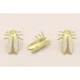 Pendiente cigarra 22*16mm Oro Mate y Blanco / Base Pendientes 