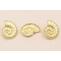 Pendiente caracola 30*24mm Oro Mate / Base Pendientes 