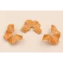 Hoja ondulada esmaltada Ocre Ribetes Dorados 40*30 / Base Pendientes 