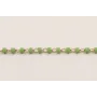 Cadena Miyuki Delika 754 Verde / Cadenas de Latón / Zamak