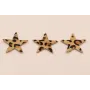 Estrella Piel Tintada 27mm Leopardo / Hilos y Cordones, Cuero y piel