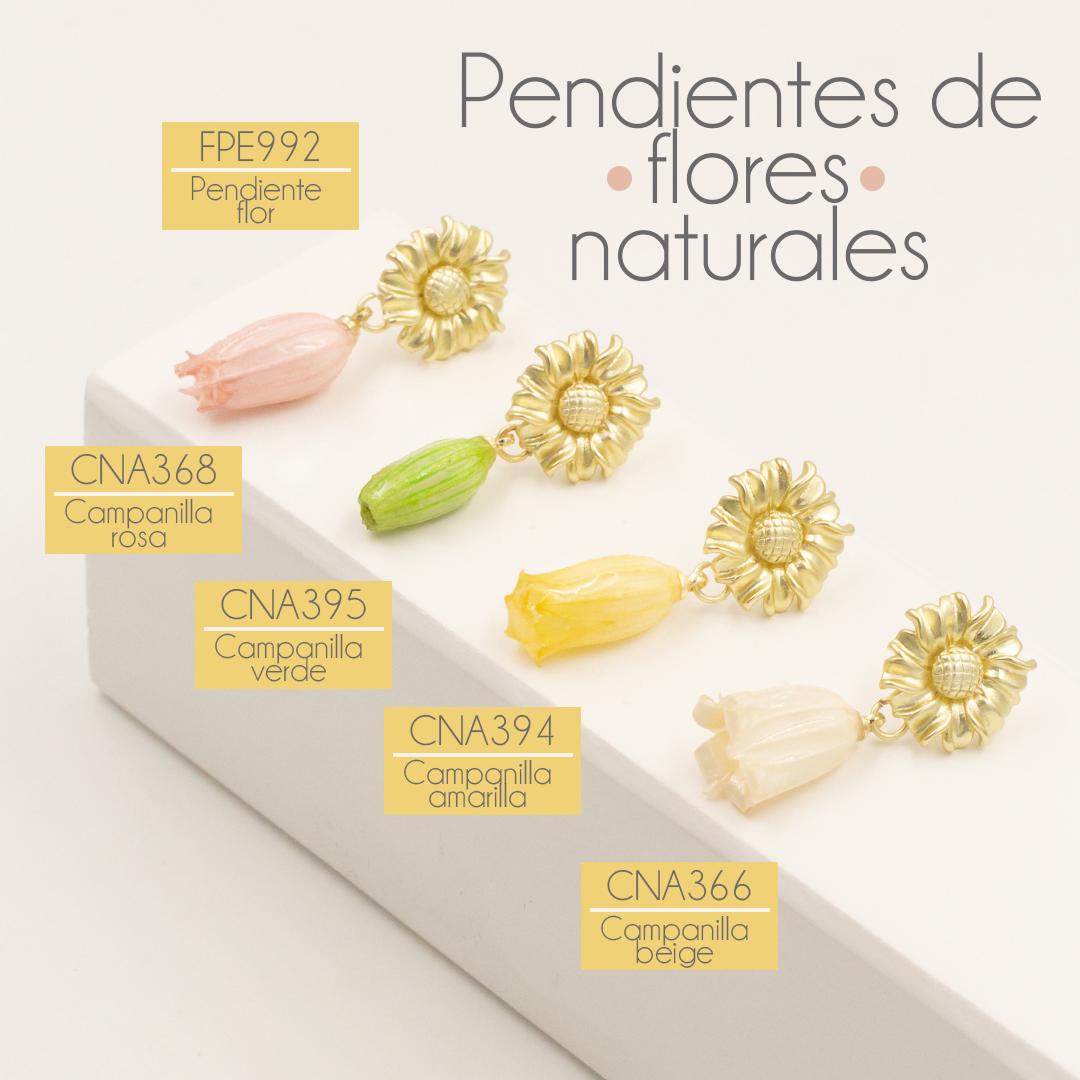 Don Cuentas